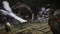 Elden Ring (Download) (PC) Vorschaubild