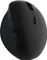 LogiLink Wireless Ergonomic Mouse, USB Vorschaubild