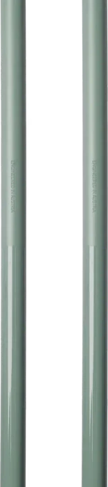 Atomic Revent Alpin Skistock silver pine