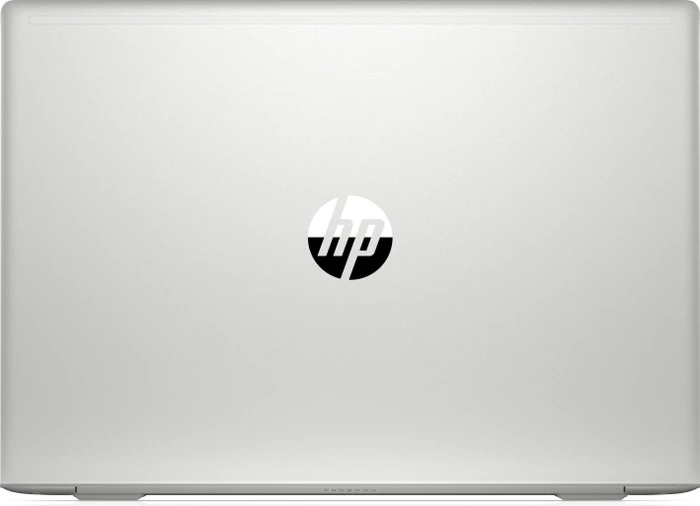 HP ProBook 450 G6, silber, Core i5-8265U, 8GB RAM, 256GB SSD, DE