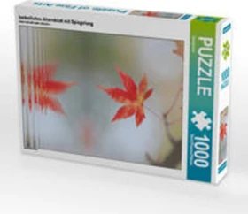 Calvendo herbstliches Ahornblatt mit Spiegelung