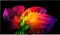 LG OLED evo AI W6 OLED77W69LA Vorschaubild