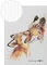 Pagna Notizbuch Save me A5 Vorschaubild