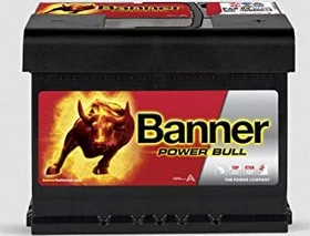 Banner Power Bull P6009