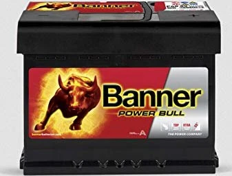 Banner Power Bull P6009