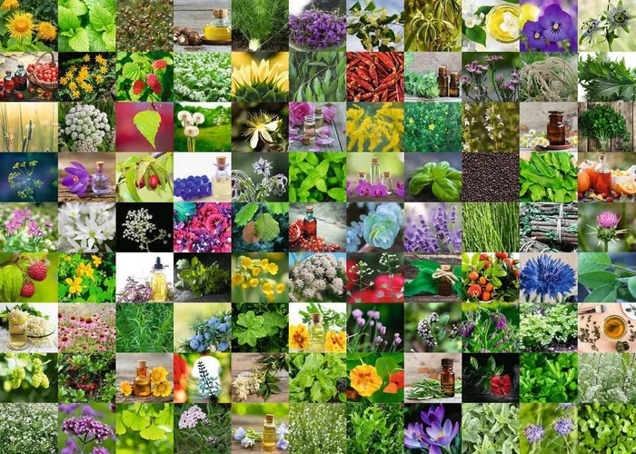 Ravensburger Puzzle 99 Kräuter und Gewürze