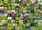 Ravensburger Puzzle 99 Kräuter und Gewürze Vorschaubild