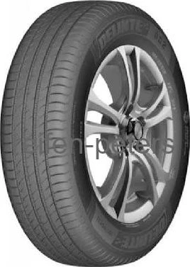 Delinte DS2 165/65 R14 79T