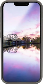 JT Berlin Liquid SilikonCase Steglitz für Apple iPhone 13 Pro grau