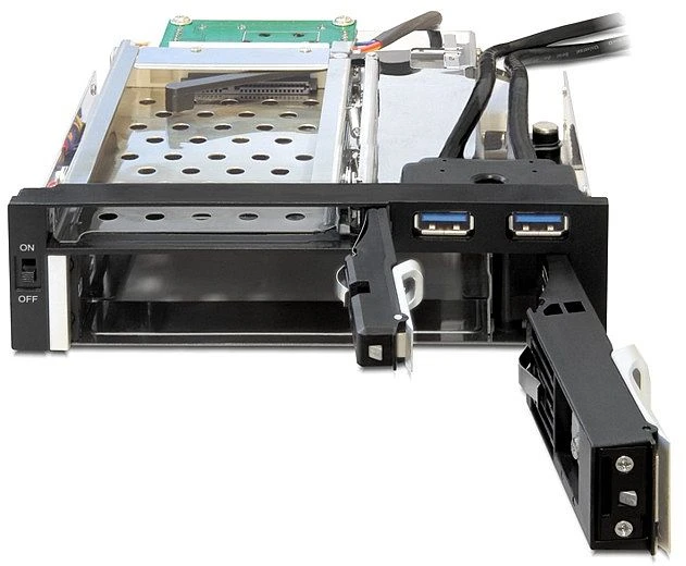 DeLOCK 5.25" Wechselrahmen auf 1x 2.5", 1x 3.5" SATA