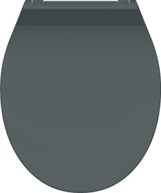 Schütte Duoplast WC-Sitz Slim mit Absenkautomatik und Schnellverschluss, anthrazit