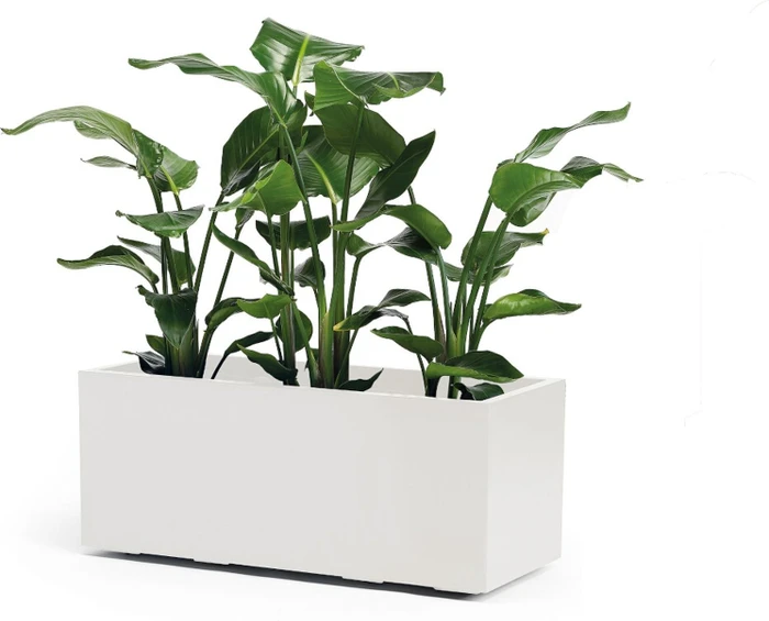 euro3plast Greener Kebe Pflanzkasten 100x40cm weiß