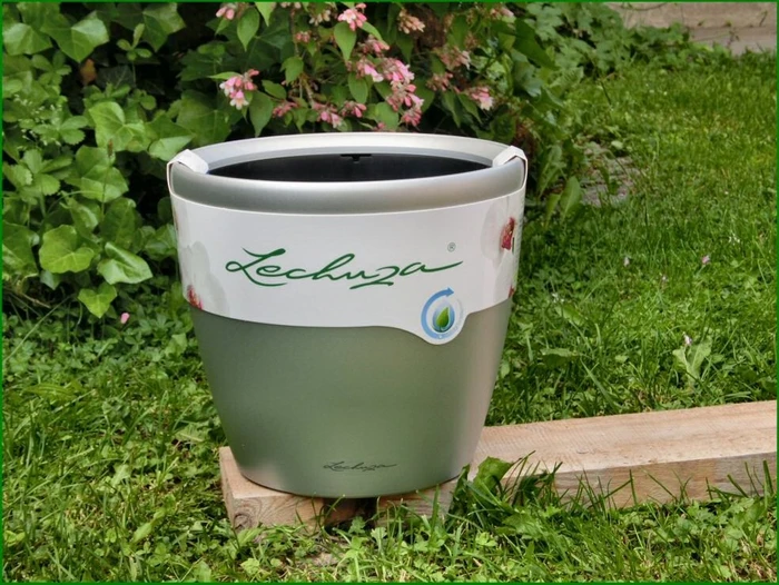 Lechuza Classico LS 43 Blumentopf