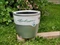 Lechuza Classico LS 43 Blumentopf Vorschaubild