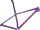 Specialized Chisel MTB Hardtail Rahmenset gloss purple tint linear brushed/rebel pink (71725-70)