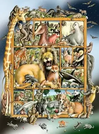 Ravensburger Puzzle Tiere im Regal
