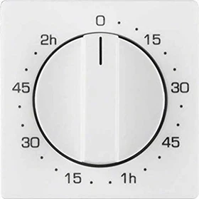 Berker Q.x Zentralstück für mechanische Zeitschaltuhr, polarweiß samt
