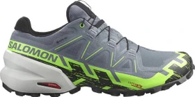 Salomon Speedcross 6 GTX flint stone/green gecko/black (Herren)