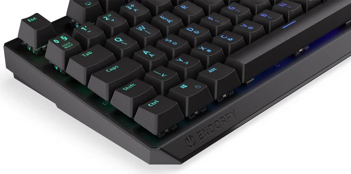 Endorfy Thock, LEDs RGB, Kailh RED, USB, HU
