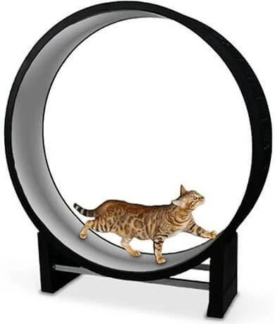 CanadianCat Cat in Motion, Katzenlaufrad, Anthrazit
