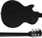 Gibson Adam Jones Les Paul Standard Vorschaubild