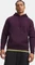 Under Armour Icon Fleece Hoodie purple echo (Herren) Vorschaubild