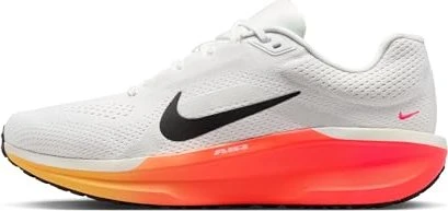 Nike Winflo 11 (Herren)