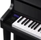 Casio Celviano Grand Hybrid GP-310 schwarz Vorschaubild