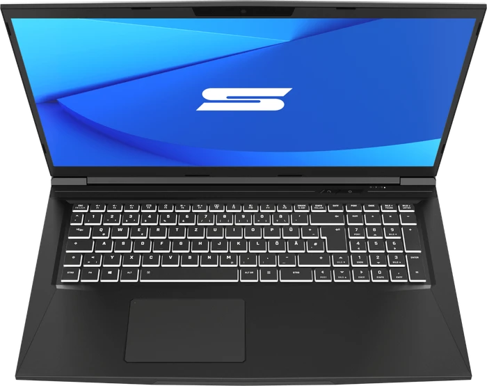 Schenker Media 17-E21, Core i7-10870H, 8GB RAM, 250GB SSD, GeForce RTX 3060, DE