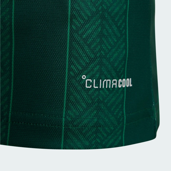adidas FIFA WM 2026 Südafrika Auswärtstrikot kurzarm team dark green/team green (Junior)