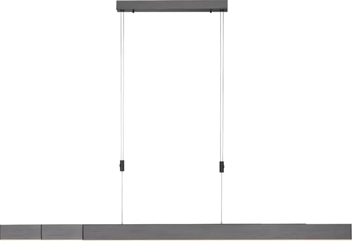 Paul Neuhaus Pure Moto e-Slide Pendelleuchte grau