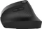 JLab JBuds Ergonomic Wireless Vertical Mouse, schwarz, USB/Bluetooth Vorschaubild