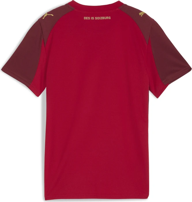 Puma FC Red Bull Salzburg 2025/2026 Ausweichtrikot kurzarm (Junior)