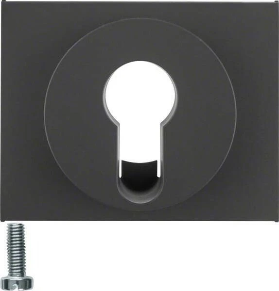 Berker Zentralstück für Schlüsselschalter/-taster, anthrazit