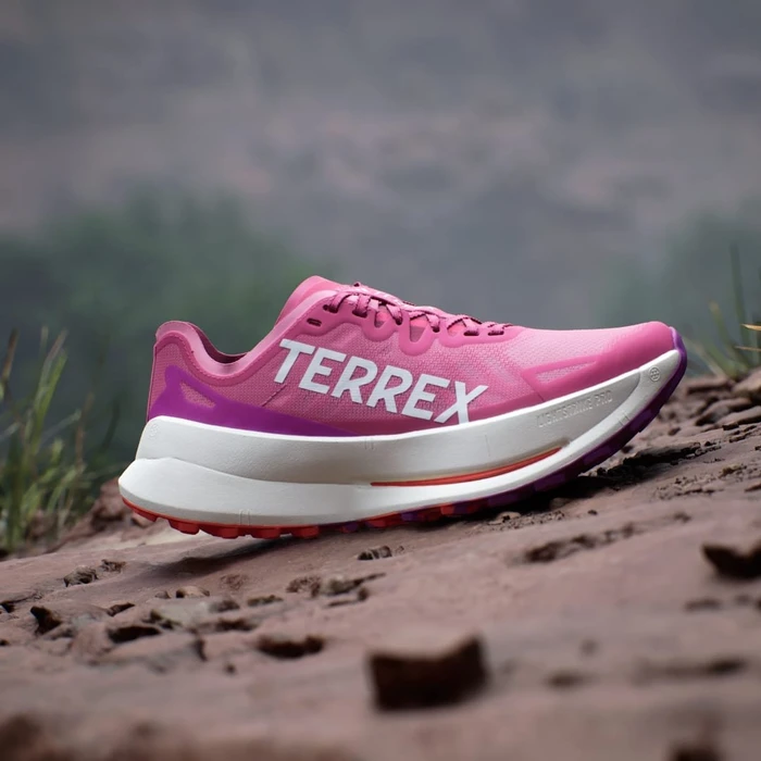 adidas Terrex Agravic Speed pink fusion/crystal white/purple burst (Damen)