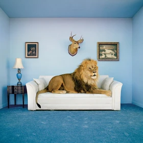 Clementoni Frame me up The Master of the house