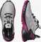 Salomon Supercross 4 GTX ashes of roses/black/very berry (Damen) Vorschaubild