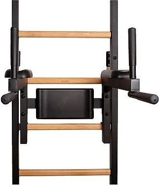 BenchK DB1B Dip Stange