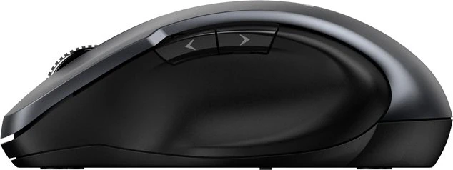 Genius Ergo 8200S Wireless Silent Mouse grau/schwarz, USB