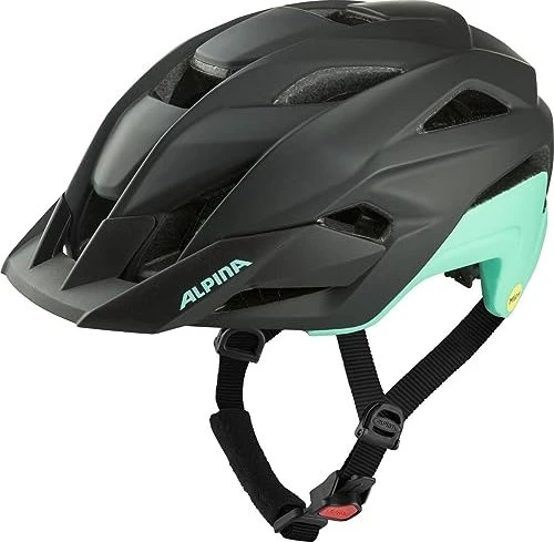 Alpina Stan MIPS Helm