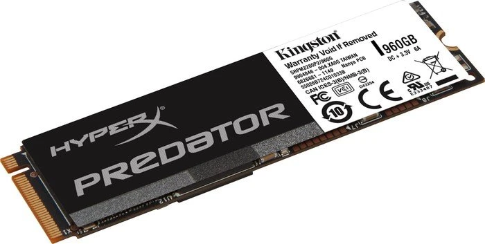 Kingston FURY Predator 960GB, M.2 2280 / M-Key / PCIe 2.0 x4