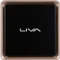 ECS Elitegroup LIVA Q3 Plus, Ryzen Embedded V1605B, 8GB RAM, 128GB Flash Vorschaubild