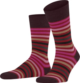 Falke Tinted Stripe Socken ingle (Herren)