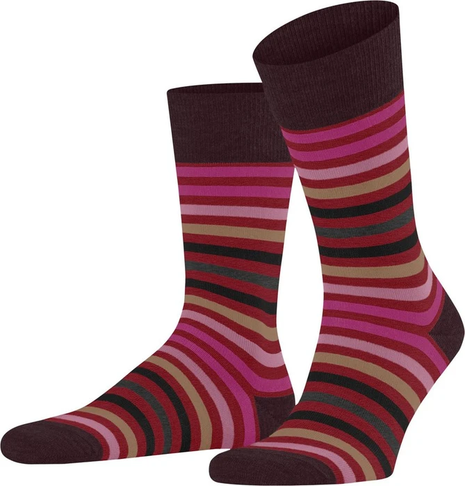 Falke Tinted Stripe Socken ingle (Herren)