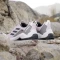 adidas Terrex Eastrail GTX preloved fig/core black/crystal jade (Damen) Vorschaubild