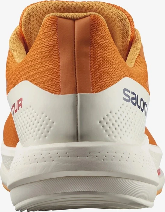 Salomon Spectur vibrant orange/blaze orange/astral aura (Herren)