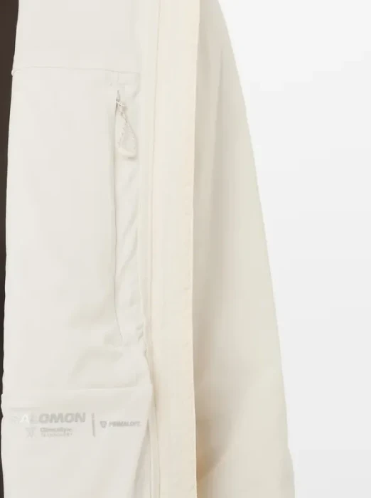 Salomon Mountain Flex Funktionsjacke whisper white (Damen)