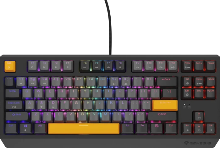 Genesis Thor 230 TKL, Anchor Gray Negative, LEDs RGB, hot-swap, Outemu Red, USB, US