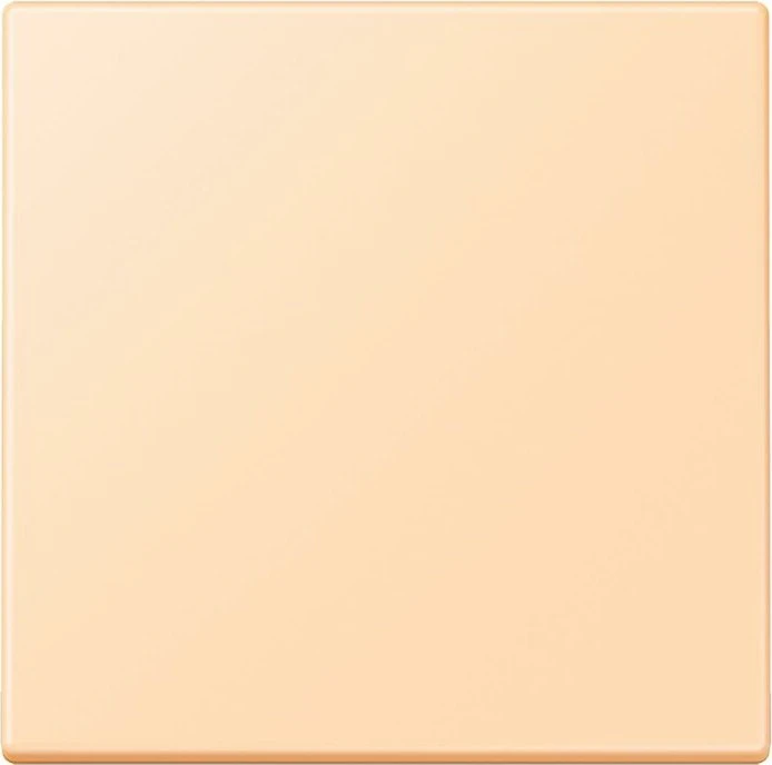 Jung Wippe 1-fach, ocre