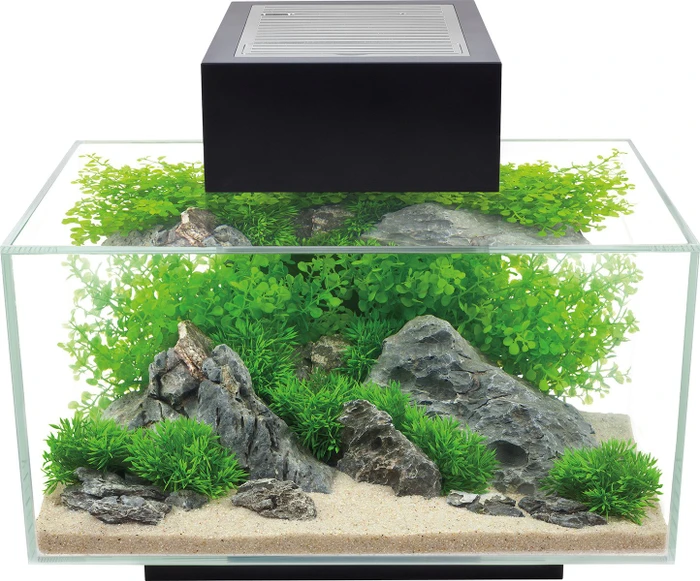 Fluval Edge 2.0 Aquarium-Set, schwarz, 23l